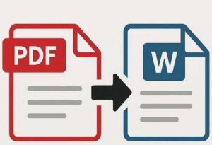 PDF to Word Converter