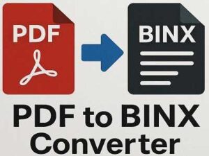 PDF to BINX Converter